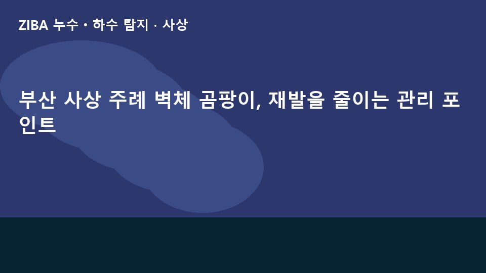 부산 사상 주례 벽체 곰팡이, 재발을 줄이는 관리 포인트
