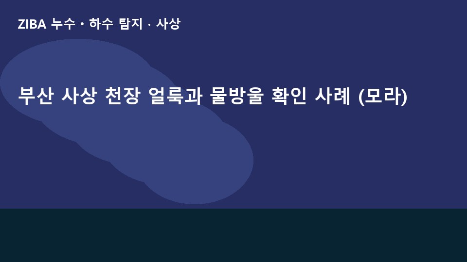 부산 사상 천장 얼룩과 물방울 확인 사례 (모라)