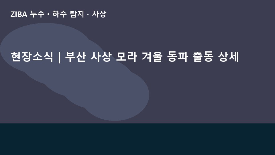 현장소식 | 부산 사상 모라 겨울 동파 출동 상세